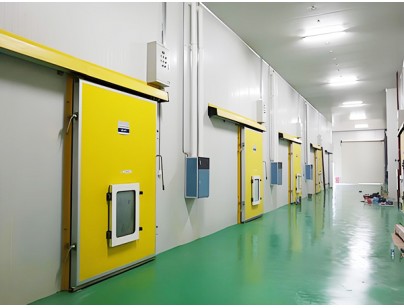 湖州練美農(nóng)業(yè)果蔬產(chǎn)地型氣調(diào)冷庫(kù)建造工程案例