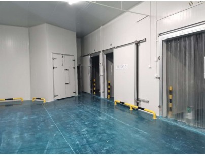 伊利乳業(yè)高標(biāo)準(zhǔn)乳制品加工冷鏈倉儲冷庫建造工程案例