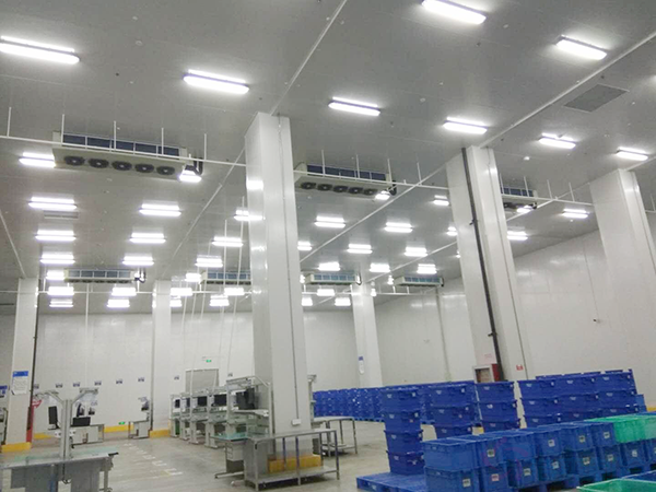 魚類養(yǎng)殖冷庫(kù)