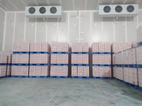 獼猴桃保鮮庫安裝