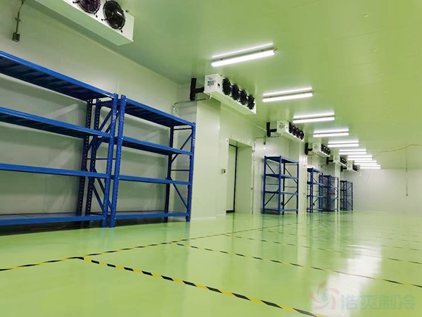 醫(yī)療器械冷鏈庫房建設