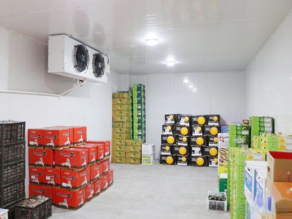 鮮花保鮮庫(kù)建造